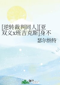 [逆转裁判同人][亚双义x班吉克斯]身不由己